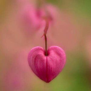 Meet your Posher, Sherrill